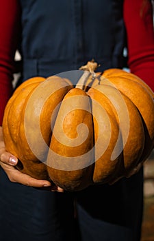 Famer at the autumn pumpkin patch background. Having fun and posing.