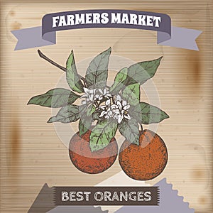 Famer market label with orange branch color sketch on wooden background.