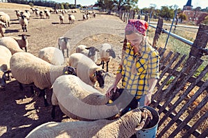 Famer woman with her flock of sheep