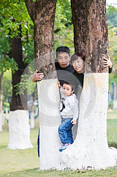 Families look out curiously between the trees