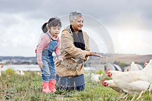 Family, agriculture and chicken, grandmother and child on farm in Mexico, feeding livestock with poultry and farming