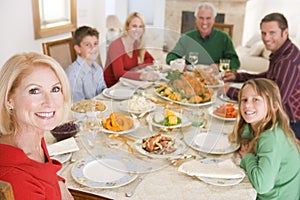 Family All Together At Christmas Dinner