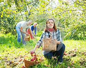 Family with apple harvest in orchard