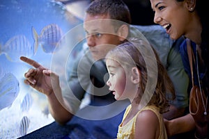 Family, aquarium and girl looking at fish for learning, curiosity and knowledge, education and bonding. Mother