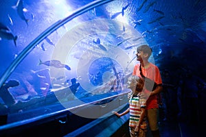 Family in aquarium. Kids watch fish, marine life