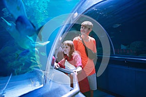 Family in aquarium. Kids watch fish, marine life