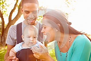 Family With Baby Son In Carrier Walking Through Park