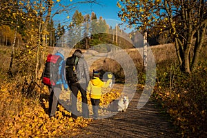 The family with backpacks and dogs are walking along the dirt road. Family spending time