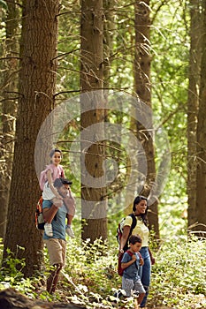 Family With Backpacks Hiking Or Walking Through Woodland Countryside