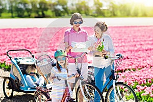 Family on bike in tulip flower fields, Holland