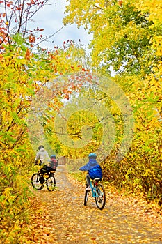 Family on bikes in autumn park, father and kids cycling