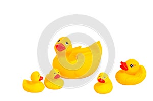 Family of bright yellow rubber bath duck toys