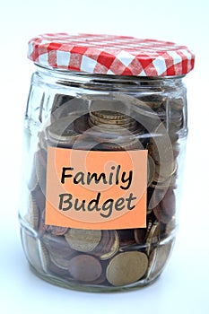 Family budget photo