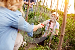 Family business in garden