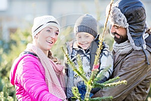 Family buying Christmas tree on market