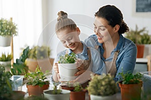 Family caring for plants