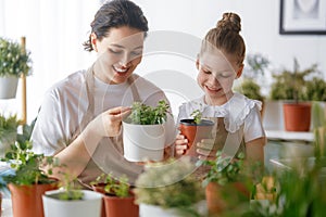 Family caring for plants