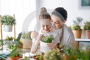 Family caring for plants