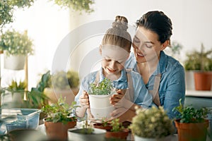 Family caring for plants