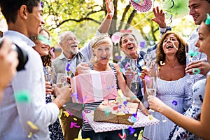 Family celebration or a garden party outside in the backyard.