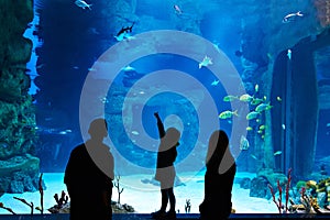 Family with child visitors large oceanarium