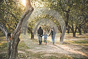 Family child walking garden autumn sun rays