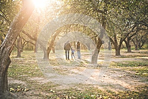 Family child walking garden autumn sun rays