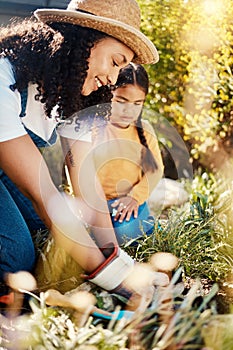 Family, children or gardening with a woman and daughter planting plants in the backyard together. Nature, kids or