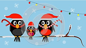 family of Christmas birds in red hats
