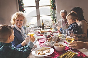 Family Christmas dinner toast