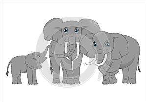 Family of cute cartoon elephants