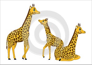 Family of cute cartoon giraffes