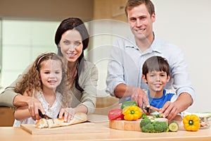 Family cutting ingredients