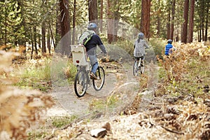 Family cycling through a forest, back view