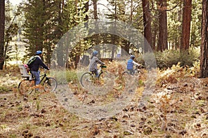 Family cycling through a forest together, side view