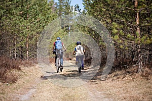 Famiglia andare in bici al di fuori primavera foresta 