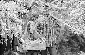 Family dad and daughter little girl planting plants. Day at farm. Planting flowers. Plant veggies. Planting season