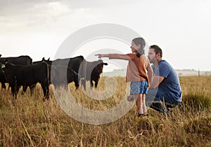 Family, dairy farming and farmer with child, daughter and girl pointing, showing and watching cows or cattle. Father and