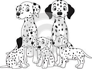 Family of Dalmatian dogs