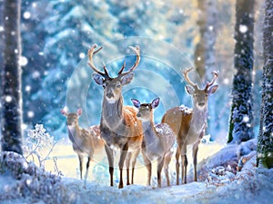 a family of deer in a wonderful snowy forest in the middle of winter