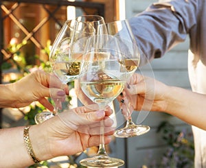 Family of different ages people cheerfully celebrate outdoors with glasses of white wine, proclaim toast