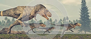 Family of dinosaurs - tyrannosaurus rex. photo