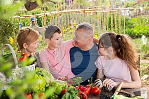 Family discusses the harvest of vegetables at the table of the village house