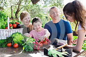 Family discusses the harvest of vegetables at the table of the village house