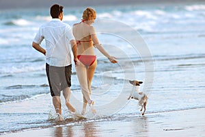 Family with dog at the beach