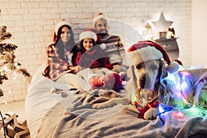 Family with dog on New Year`s Eve