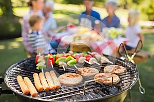 Family doing barbecue in the park