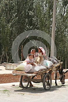 Family in donkey cart