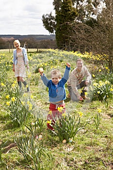 Family On Easter Egg Hunt In Daffodil Field