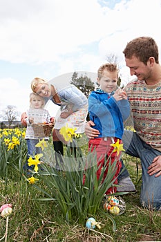 Family On Easter Egg Hunt In Daffodil Field